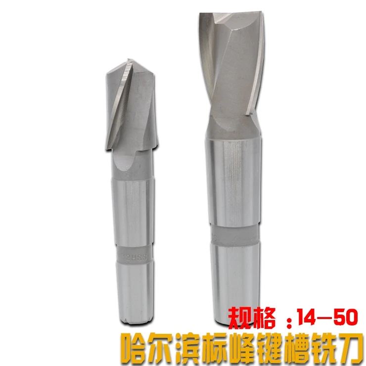 Harbin High-Speed Steel Taper Shank Keyway Milling Cutter Customized OEM Support Sizes 14 to 50